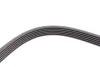 <strong>Пас поліклиновий MB Vario/Hyundai Tucson CONTITECH 6PK2415 (фото 3)</strong>