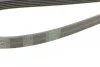 <strong>Пас поліклиновий MB E-class (W211) 5.5 02-08 (M113 CONTITECH 6PK2445 (фото 3)</strong>
