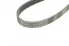 <strong>Пас поліклиновий MB E-class (W211) 5.5 02-08 (M113 CONTITECH 6PK2445 (фото 4)</strong>