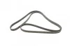 <strong>Пас поліклиновий MB E-class (W211) 5.5 02-08 (M113 CONTITECH 6PK2445 (фото 5)</strong>