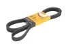 <strong>Пас поліклиновий MB W140/211 M113/119 CONTITECH 6PK2460 (фото 1)</strong>