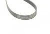 <strong>Пас поліклиновий Porsche Cayenne 10-/Audi Q7 06-15 CONTITECH 6PK2475 (фото 4)</strong>