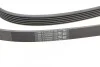 <strong>Пас поліклиновий Audi A4/A6/A8/Q7 2.7/3.0 TDI 04- CONTITECH 6PK2490 (фото 3)</strong>