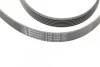 <strong>Пас поліклиновий Audi A4/A6/A8/Q7 2.7/3.0 TDI 04- CONTITECH 6PK2490 (фото 4)</strong>
