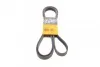 <strong>Ремень поликлиновой Conti CONTITECH 6PK2510 (фото 1)</strong>