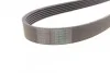 <strong>Ремень поликлиновой Conti CONTITECH 6PK2510 (фото 2)</strong>