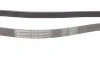 <strong>Пас поліклиновий VW Crafter 2.5TDI 06-13/Audi Q7 3 CONTITECH 6PK2523 (фото 2)</strong>