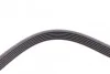 <strong>Пас поліклиновий VW Crafter 2.5TDI 06-13/Audi Q7 3 CONTITECH 6PK2523 (фото 3)</strong>