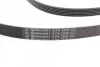 <strong>Пас поліклиновий MB S-class (W221/W222)/E-class (W) CONTITECH 6PK2528 (фото 2)</strong>