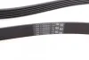 <strong>Пас поліклиновий MB S-class (W221/W222)/E-class (W) CONTITECH 6PK2528 (фото 3)</strong>