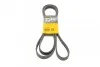 <strong>Пас поліклиновий CONTITECH 6PK2535 (фото 1)</strong>