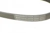 <strong>Пас поліклиновий CONTITECH 6PK2535 (фото 4)</strong>