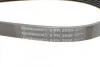 <strong>Ремінь поліклиновий Hyundai Sonata 10> 2,0i, Santa Fe 2,4i GDI 12> ContiTech CONTITECH 6PK2550 (фото 4)</strong>