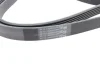 <strong>Пас поліклиновий Mitsubishi Lancer 1.8 08-/Outland CONTITECH 6PK2563 (фото 3)</strong>