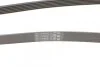 <strong>Пас поліклиновий на VW Crafter 2.5 TDI 06-13 CONTITECH 6PK2581 (фото 3)</strong>