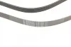 <strong>Пас поліклиновий на VW Crafter 2.5 TDI 06-13 CONTITECH 6PK2581 (фото 4)</strong>