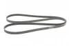 <strong>Пас поліклиновий на VW Crafter 2.5 TDI 06-13 CONTITECH 6PK2581 (фото 5)</strong>