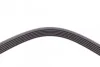 <strong>Пас поліклиновий MB S-class (W140) 6.0 91-98/Kia M CONTITECH 6PK2585 (фото 3)</strong>