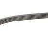 <strong>Клиновий ремінь CONTITECH 6PK2870 (фото 3)</strong>