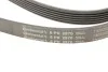 <strong>Клиновий ремінь CONTITECH 6PK2870 (фото 4)</strong>
