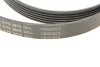 <strong>Клиновий ремінь CONTITECH 6PK2870 (фото 5)</strong>
