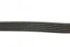 <strong>Пас поліклиновий MB Sprinter 3.0CDI 07- (AC) 6PK691ELAST CONTITECH 6PK691 ELAST (фото 2)</strong>