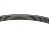 <strong>Пас поліклиновий Seat Ibiza 15-/VW Polo 14-/Skoda CONTITECH 6PK701ELAST (фото 2)</strong>