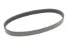 <strong>Пас поліклиновий Seat Ibiza 15-/VW Polo 14-/Skoda CONTITECH 6PK701ELAST (фото 5)</strong>