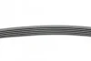 <strong>Пас поліклиновий на VW Caddy/Golf/Polo/Passat 1.0-1.4 CONTITECH 6PK745 (фото 2)</strong>