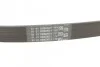 <strong>Пас поліклиновий на VW Caddy/Golf/Polo/Passat 1.0-1.4 CONTITECH 6PK745 (фото 3)</strong>