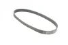 <strong>Пас поліклиновий на VW Caddy/Golf/Polo/Passat 1.0-1.4 CONTITECH 6PK745 (фото 5)</strong>