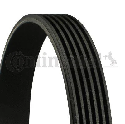 <strong>Доріжковий пас CONTITECH 6PK794ELAST (фото 1)</strong>