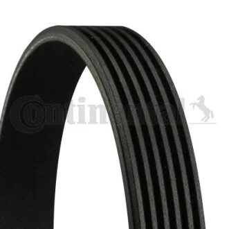 Доріжковий пас для Skoda, Volkswagen, Seat, Toyota CONTITECH 6PK794ELAST фото товару