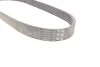 <strong>Ремінь поліклиновий CONTITECH 6PK799ELAST (фото 2)</strong>