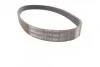 <strong>Пас поліклиновий Citroen Berlingo/Peugeot Partner CONTITECH 6PK800 (фото 3)</strong>