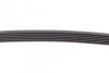 <strong>Пас поліклиновий Citroen Berlingo/Peugeot Partner CONTITECH 6PK800 (фото 4)</strong>