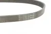 <strong>Ремінь поліклиновий CONTITECH 6PK802EXTRA (фото 2)</strong>