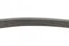 <strong>Ремінь поліклиновий CONTITECH 6PK802EXTRA (фото 4)</strong>