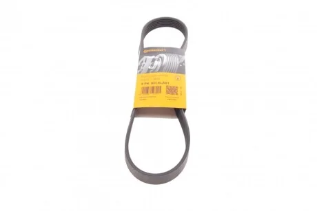 Ремінь поліклиновий для Nissan, Seat, Skoda, Volkswagen, Toyota CONTITECH 6PK831 ELAST фото товару