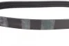 <strong>Пас поліклиновий Opel Movano/Renault Master 2.8 DTI CONTITECH 6PK844 (фото 2)</strong>
