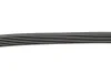 <strong>Ремінь генератора поліклиновий CONTITECH 6PK860 ELAST (фото 3)</strong>