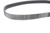 <strong>Ремінь генератора поліклиновий CONTITECH 6PK868 ELAST (фото 4)</strong>