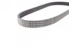 <strong>Ремінь генератора поліклиновий CONTITECH 6PK873 ELAST (фото 2)</strong>