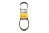 <strong>Пас поліклиновий на Toyota Yaris 1.0 10- CONTITECH 6PK880 (фото 1)</strong>