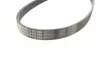 <strong>Пас поліклиновий на Toyota Yaris 1.0 10- CONTITECH 6PK880 (фото 2)</strong>