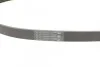 <strong>Пас поліклиновий Citroen C4/C5 14-/Renault Kangoo/ CONTITECH 6PK894 (фото 3)</strong>