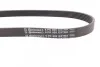 <strong>Пас поліклиновий Citroen Berlingo/Peugeot Partner CONTITECH 6PK905EXTRA (фото 2)</strong>