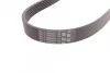 <strong>Пас поліклиновий Citroen Berlingo/Peugeot Partner CONTITECH 6PK905EXTRA (фото 3)</strong>