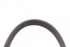 <strong>Пас поліклиновий Citroen Berlingo/Peugeot Partner CONTITECH 6PK905EXTRA (фото 4)</strong>