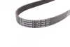 <strong>Пас поліклиновий VW Golf III/IV/Bora/Skoda Octavia CONTITECH 6PK906 (фото 2)</strong>
